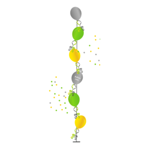 6 Balloons Tree Single Line Balloons Perfect for birthdays, weddings, or any other special occasion, these balloons are sure to impress your guests and create a festive atmosphere.