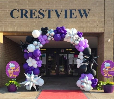 Grand celebration of graduation day with balloons in purple, lavender, black, and pastel silver, including various sizes and large star-shaped black and white balloons.